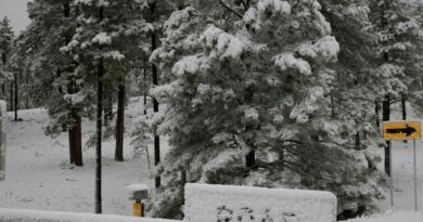 Highway 85 Closed at Northfield Drive West After Serious Crash in Waterloo